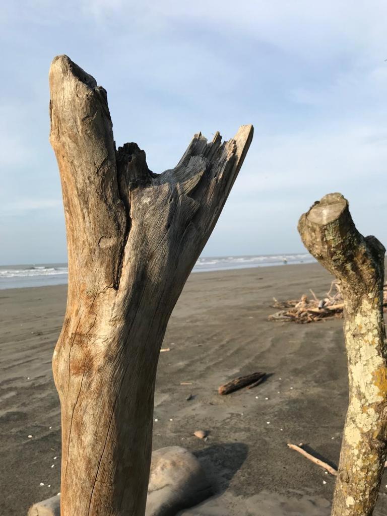 Quinta El Mamey Hotell Río Verde Eksteriør bilde
