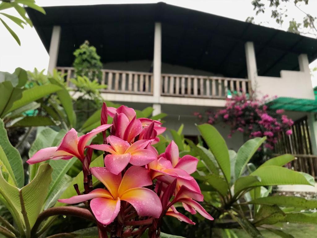 Quinta El Mamey Hotell Río Verde Eksteriør bilde