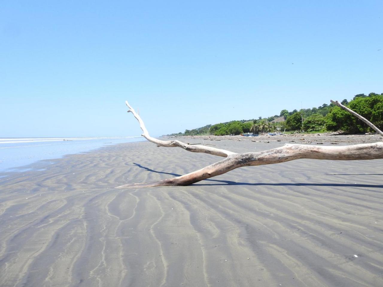 Quinta El Mamey Hotell Río Verde Eksteriør bilde